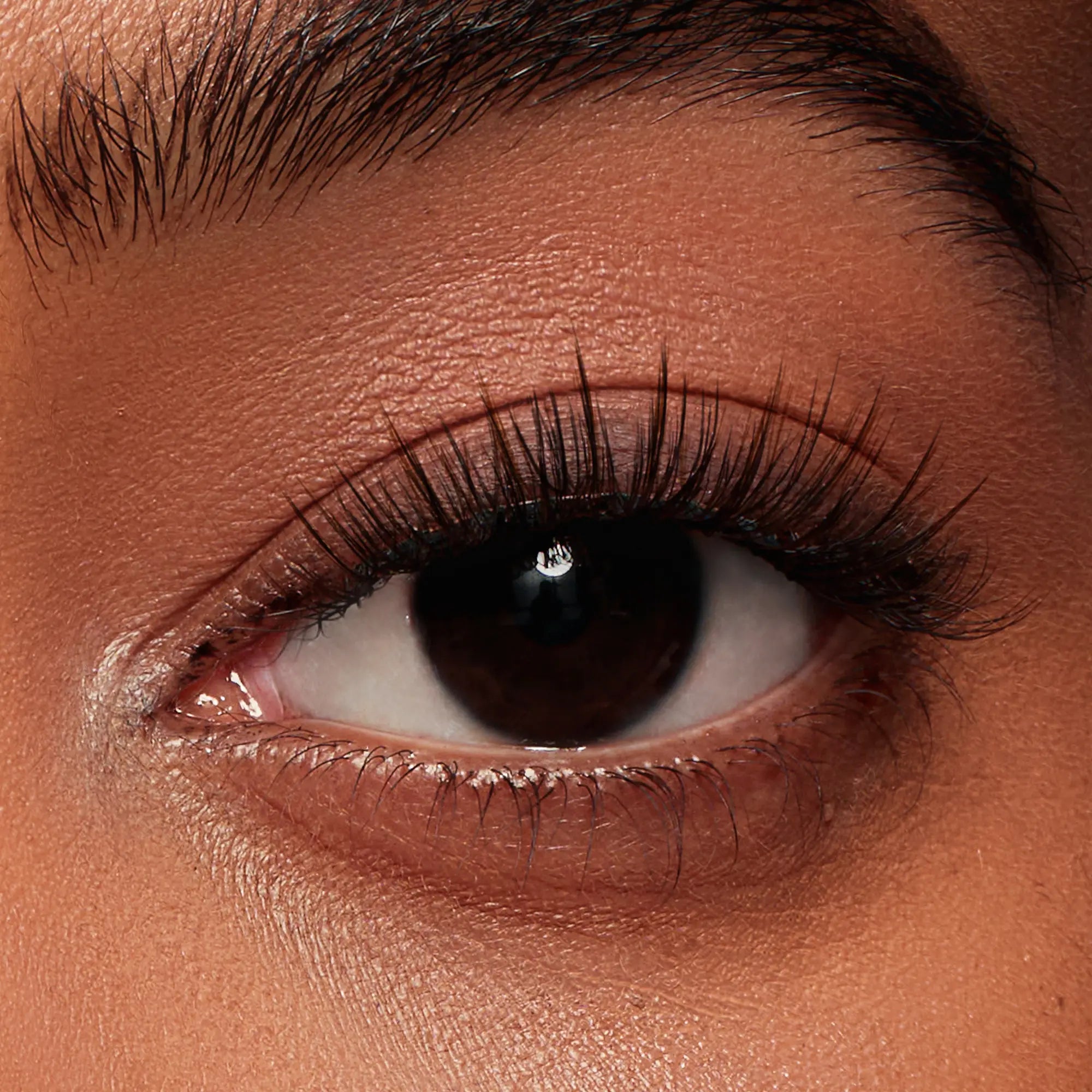 NO.4+ Sunset Brown 2.0 Plus – Sunset Glow Lashes