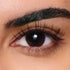 Daisy Style – Wispy Natural Lashes - 2