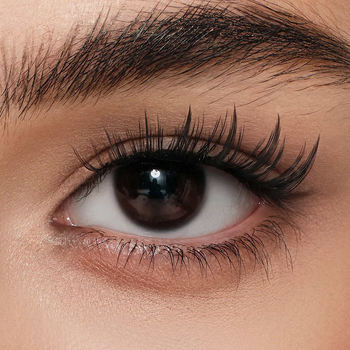 Sakura – Sweet Romance Lashes