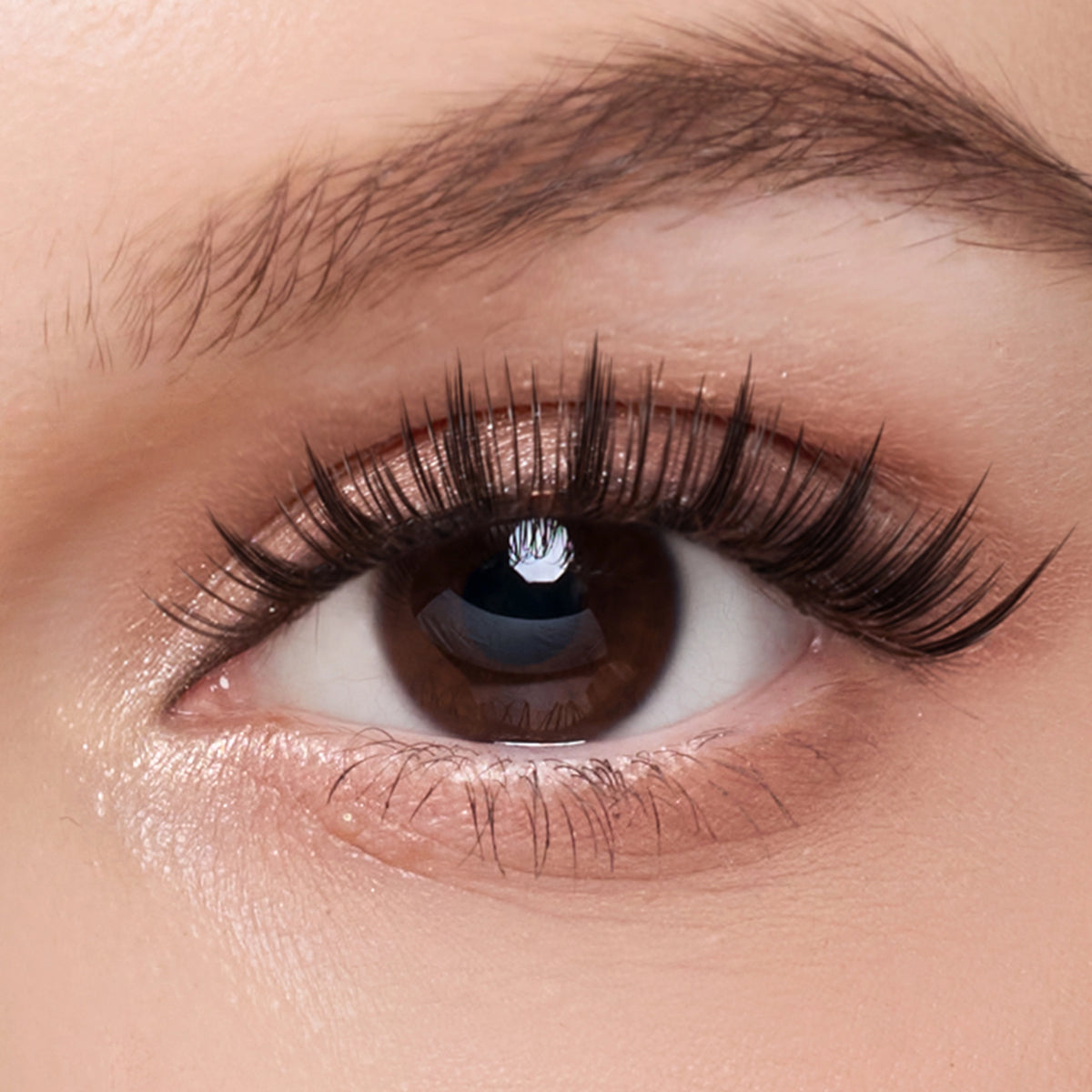 Ice Black Plus – 24MM Radiance Lashes