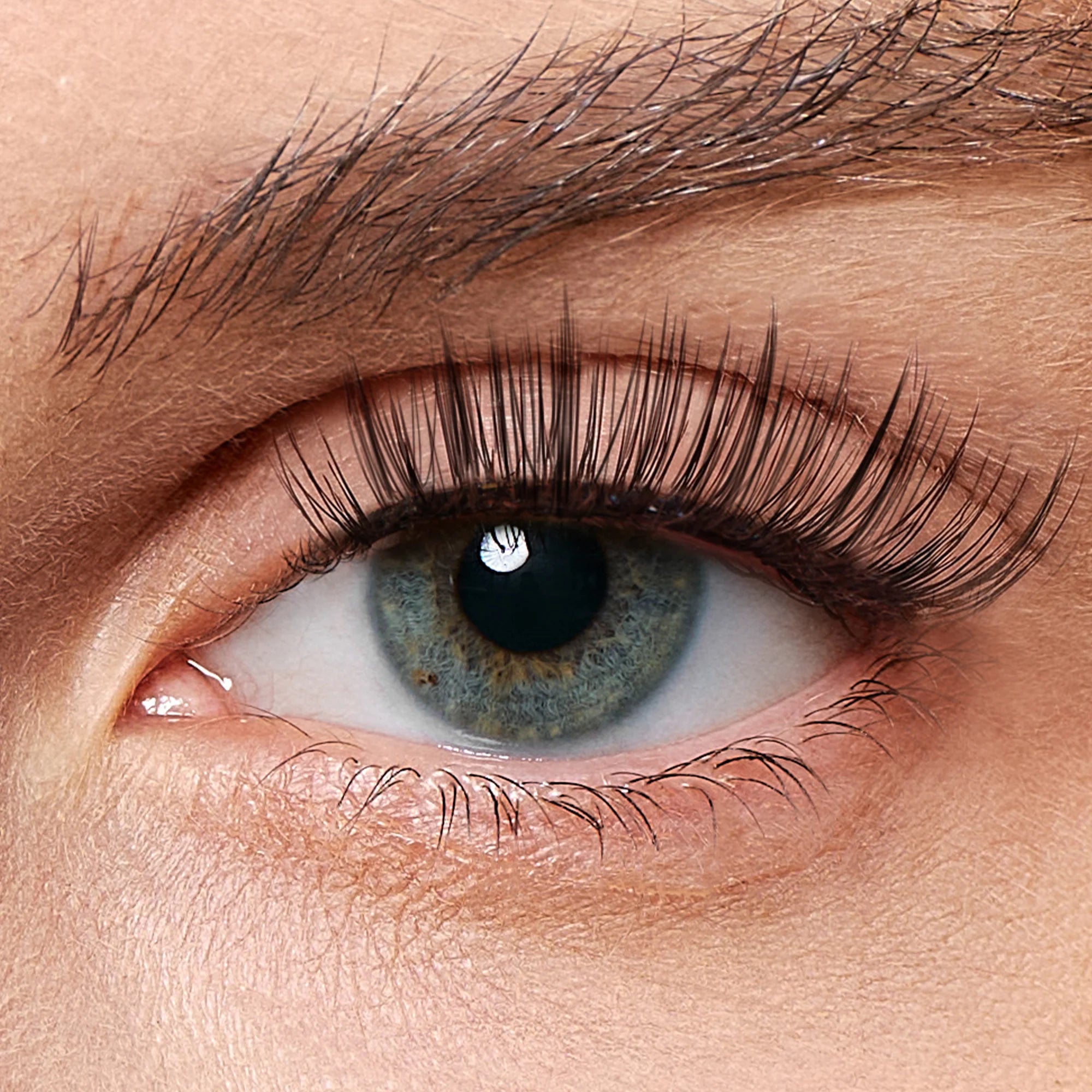 Luxe Black –Golden Hour Lashes
