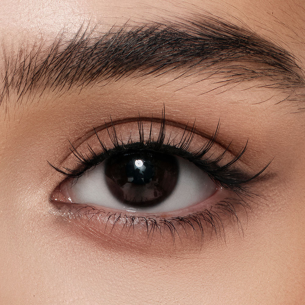 Zootopia 2 Style – Dr. Fuzzby Bold Edge