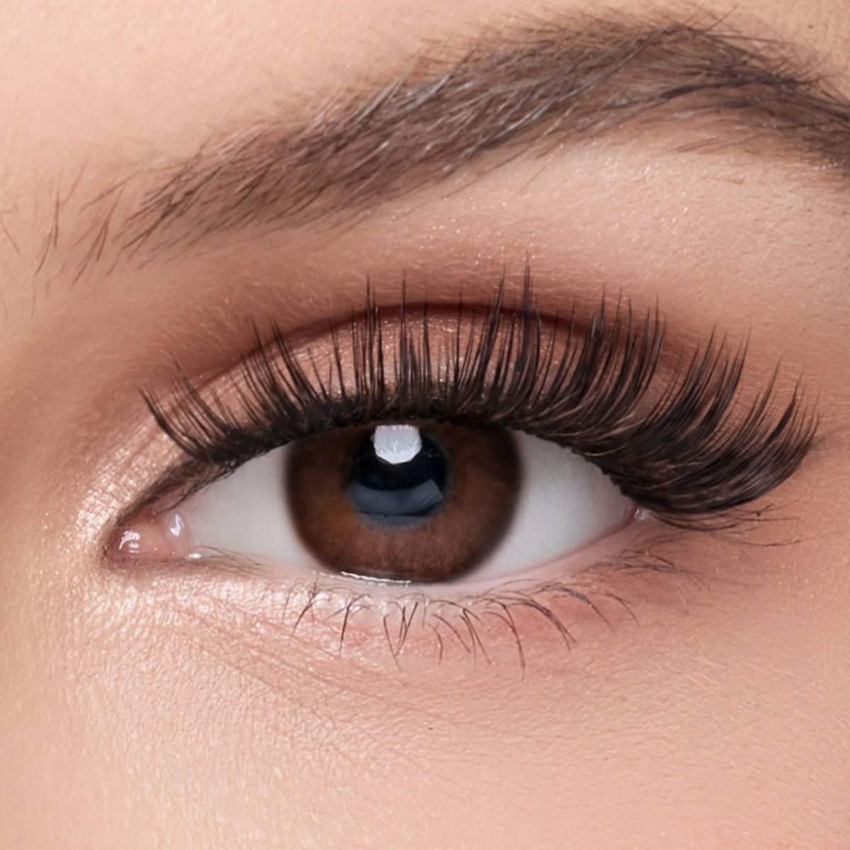 Tulip Plus –  24MM Untamed Beauty