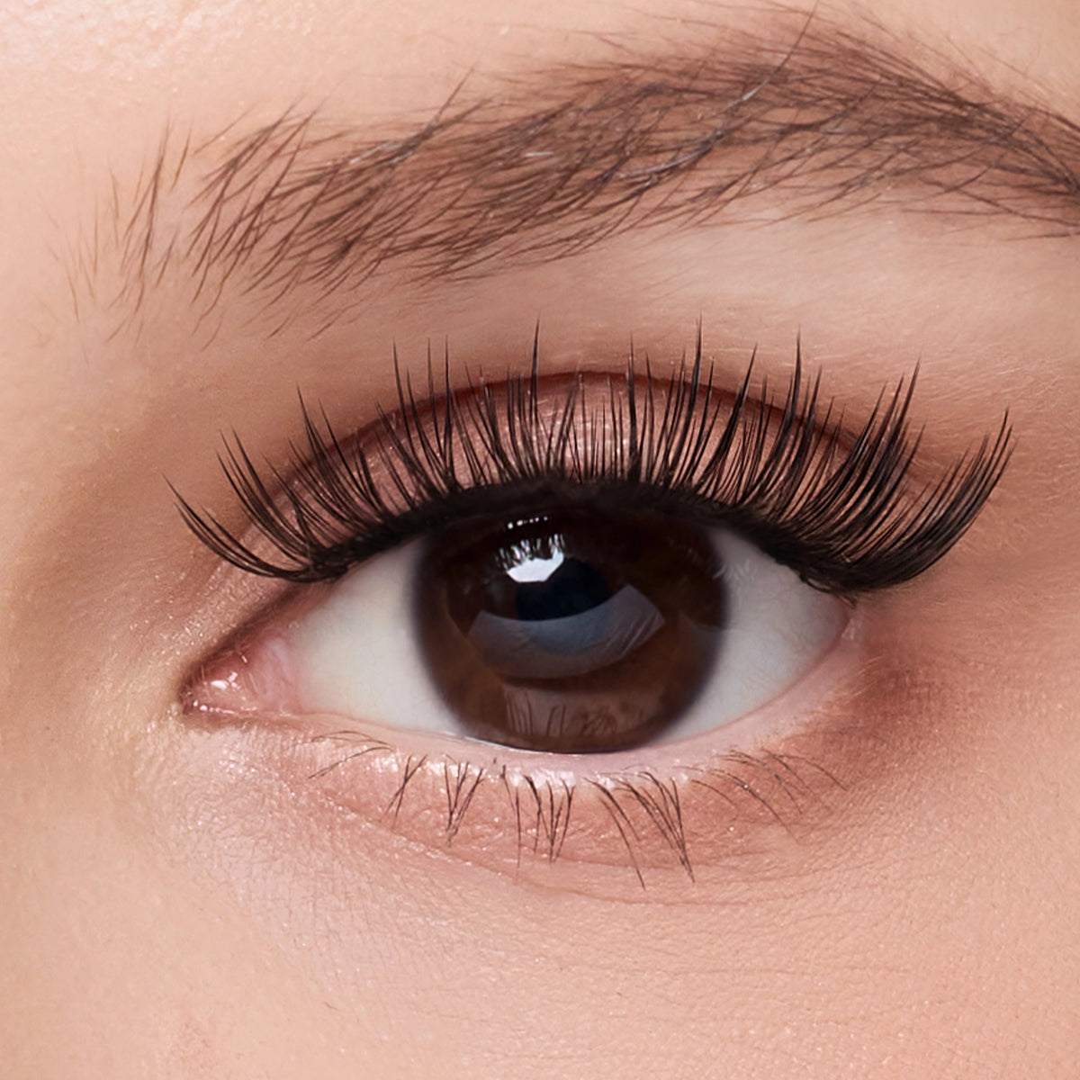 Broadway Muse – Spotlight Charm Lashes