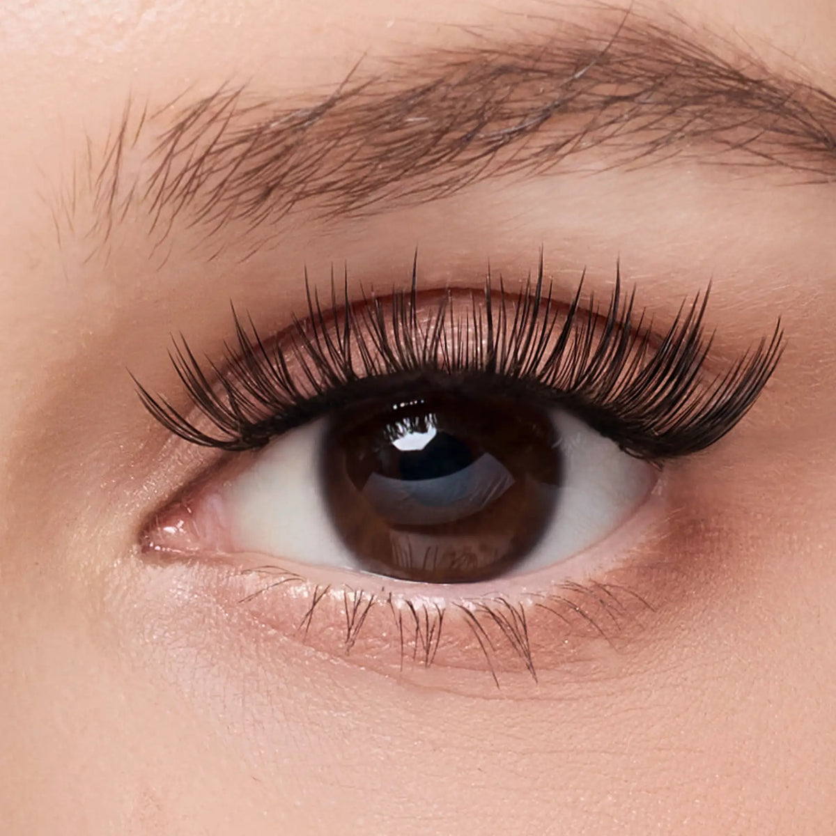 Broadway Muse – Spotlight Charm Lashes