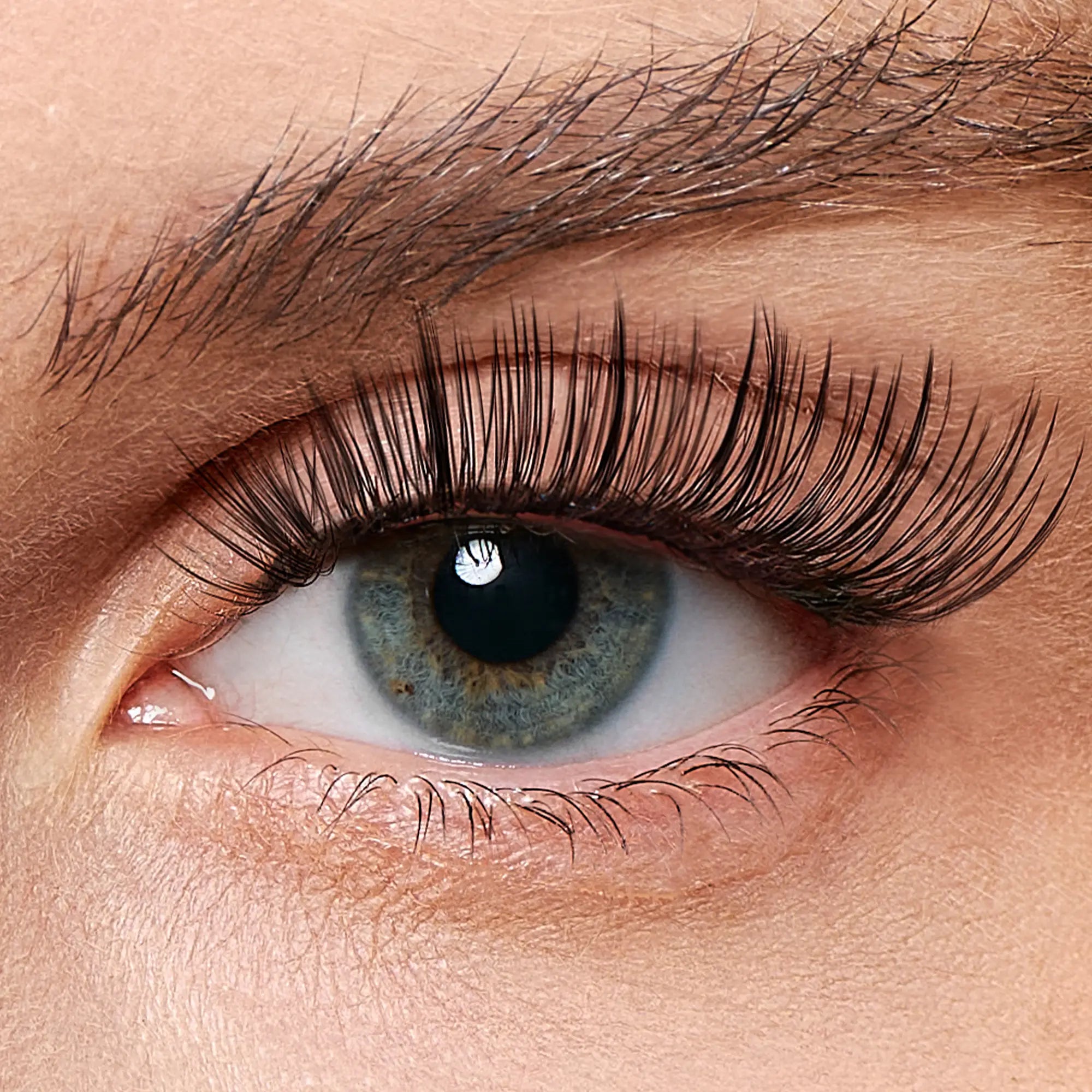 Luxe Black –Golden Hour Lashes