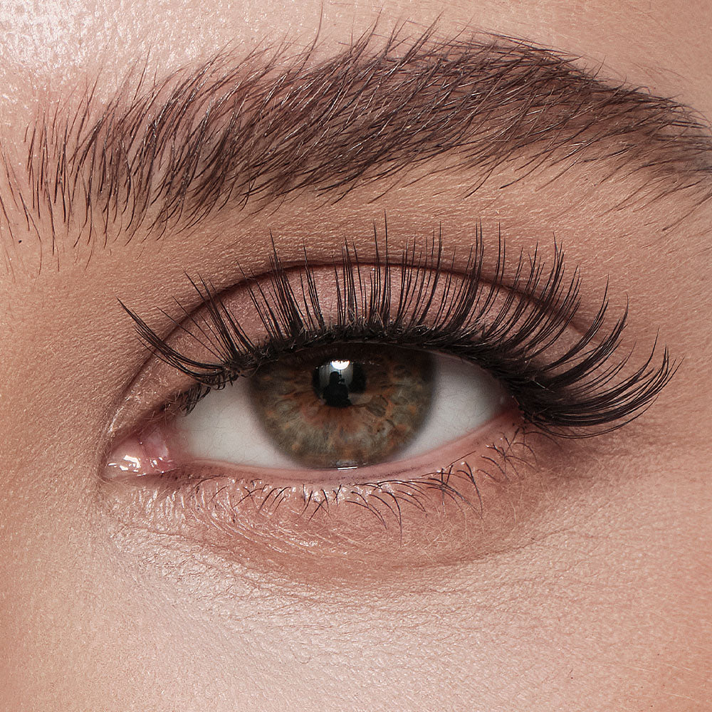 Zootopia 2 Style – Pawbert Smart Natural