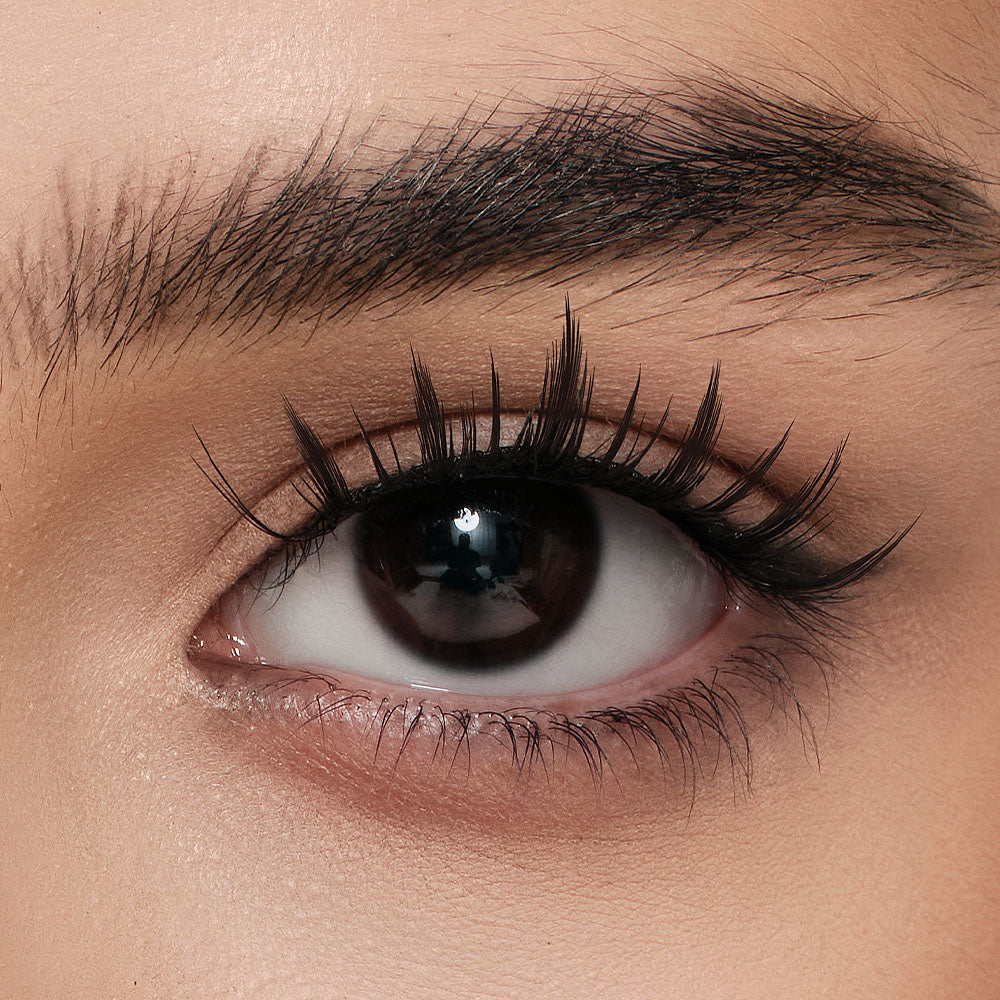 Zootopia 2 Style – Clawhauser Soft Cute