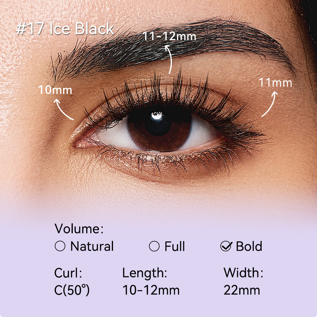 NO.17 Ice Black X Bearisbug  – Upgraded All-in-One Box