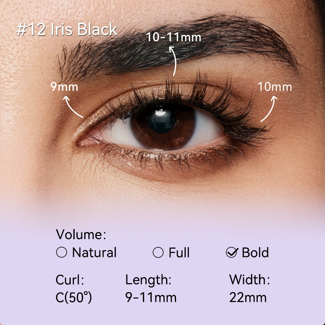 NO.12 Iris Black X Bearisbug – Upgraded All-in-One Box