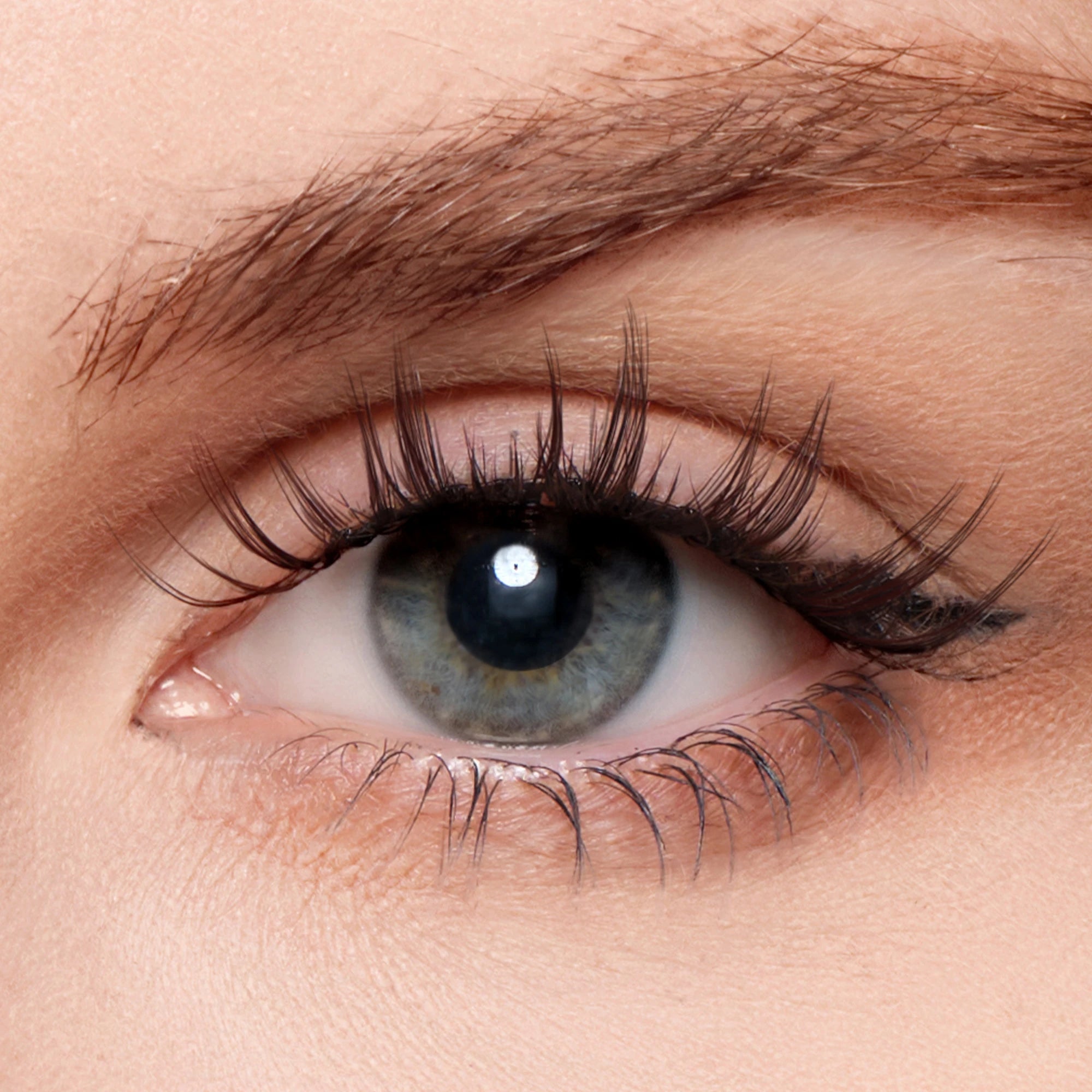 Cuddly Bunny – Gentle Beauty Lashes