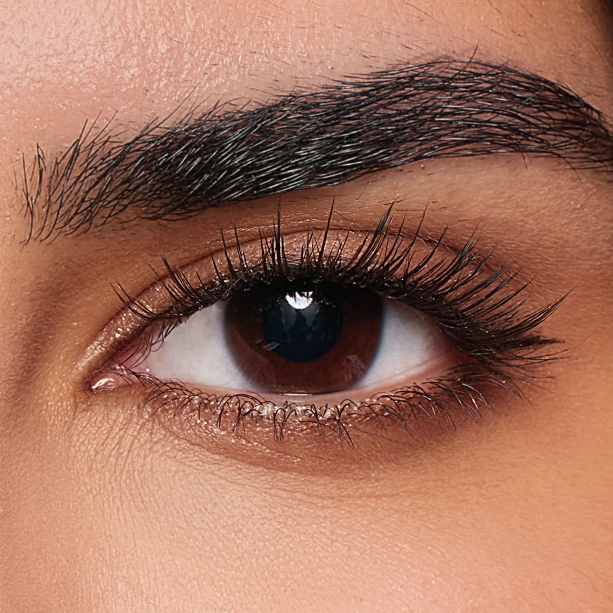 Fox Legend – Wild Elegance Lashes