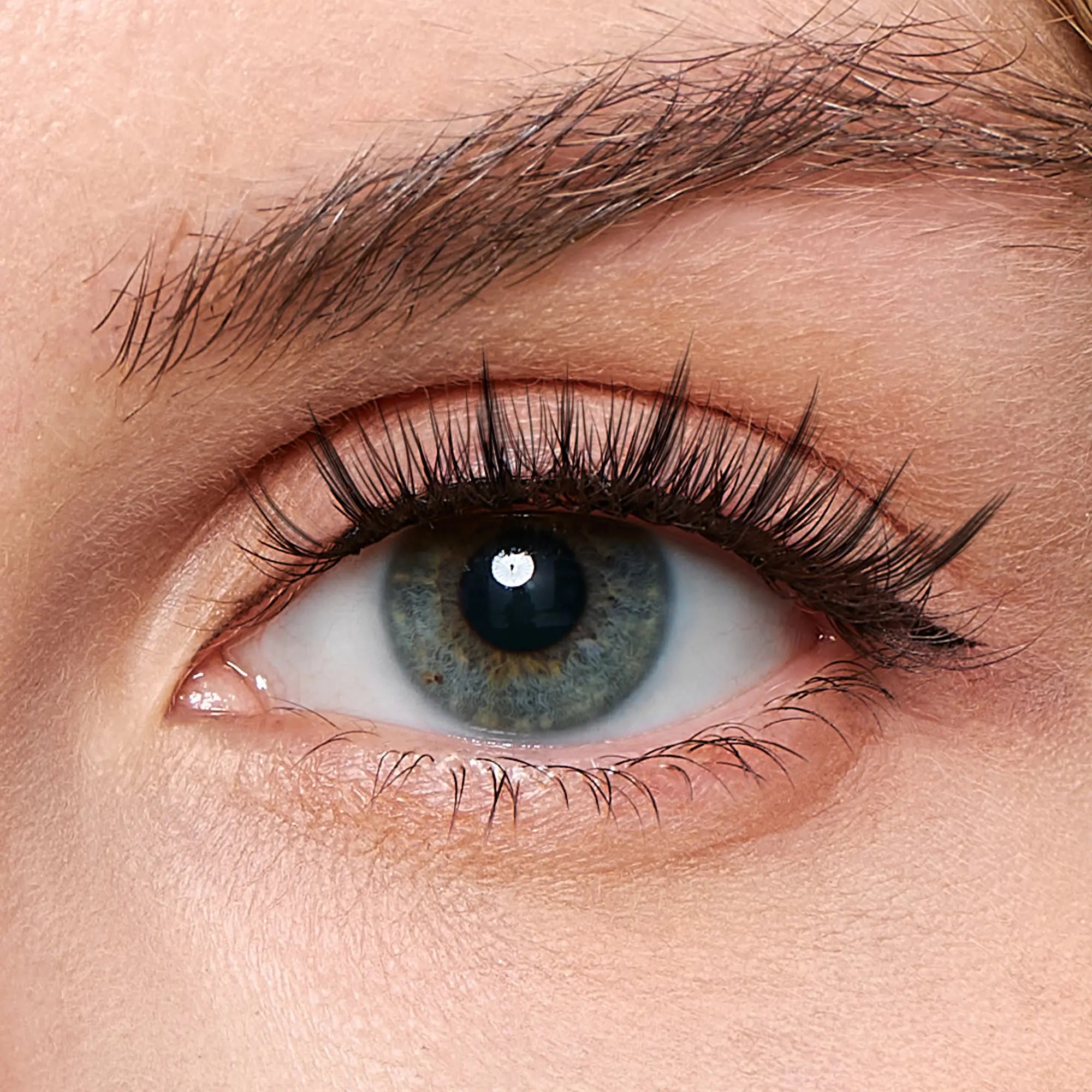 Bunny Black – Sweet Charm Lashes