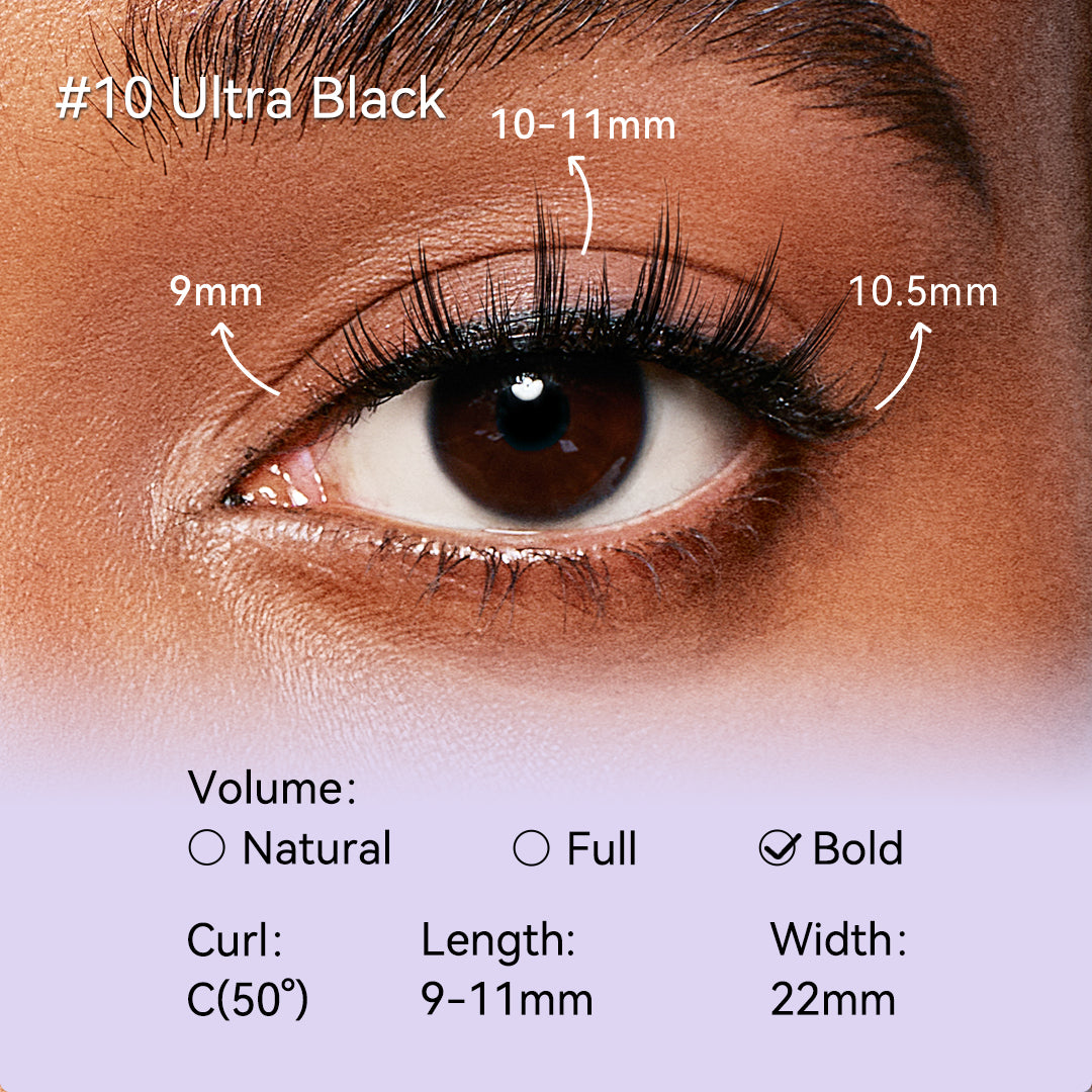 NO.10 Ultra Black X Bearisbug – Upgraded All-in-One Box