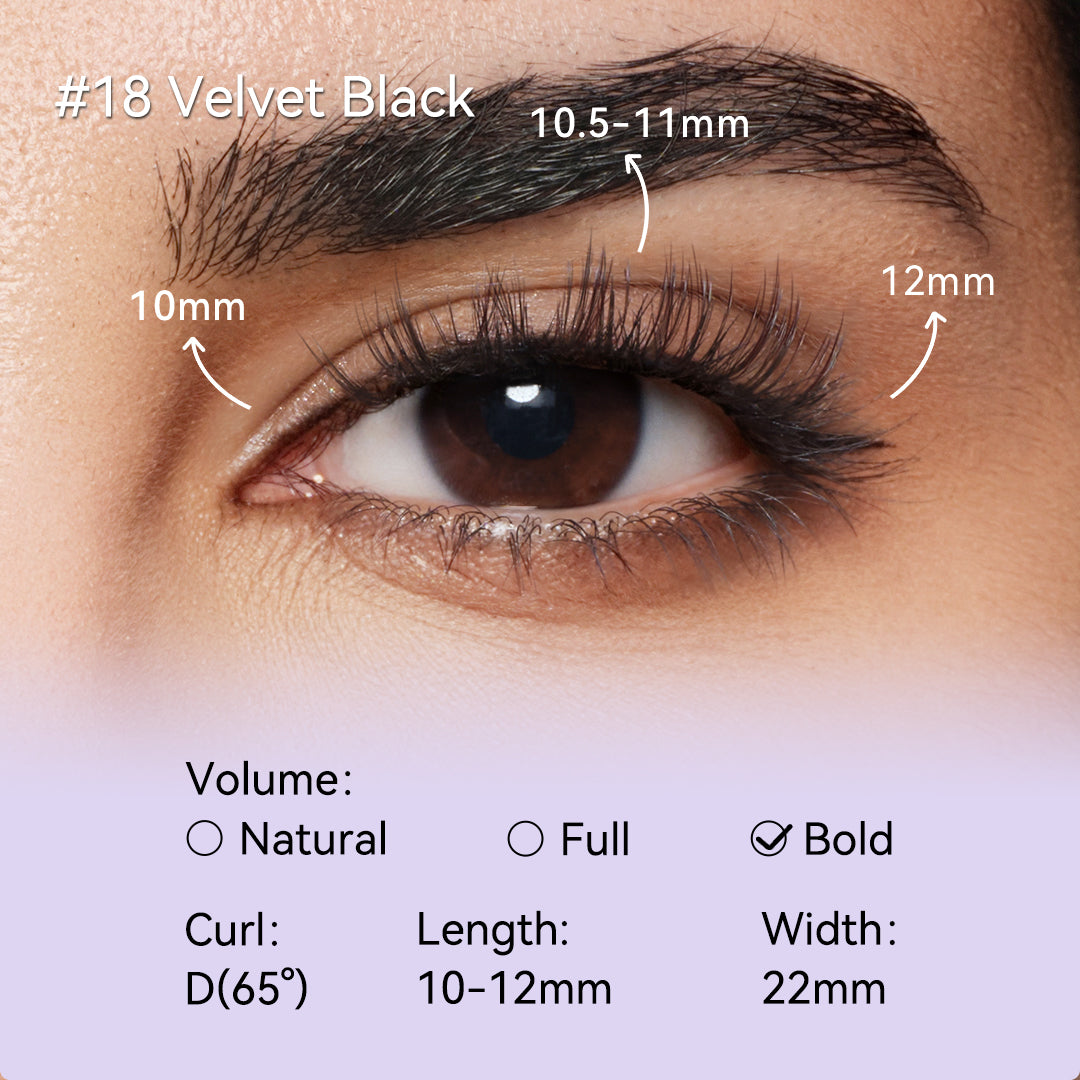 NO.18 Velvet Black X Bearisbug - Upgraded All-in-One Box