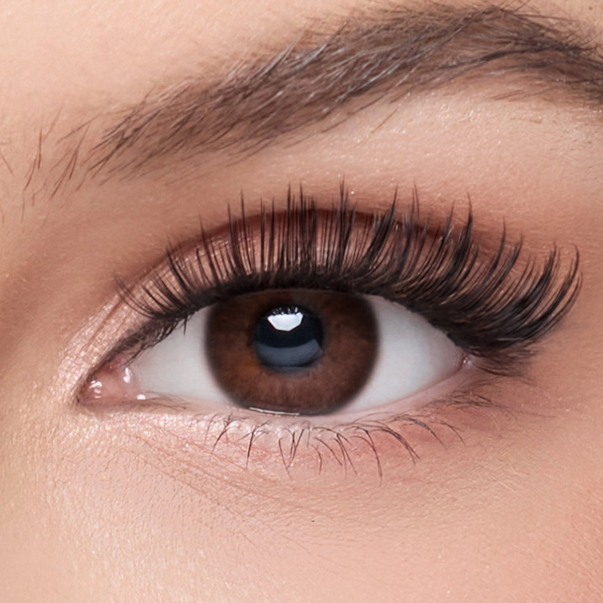 Manhattan Midnight – Midnight Glam Lashes