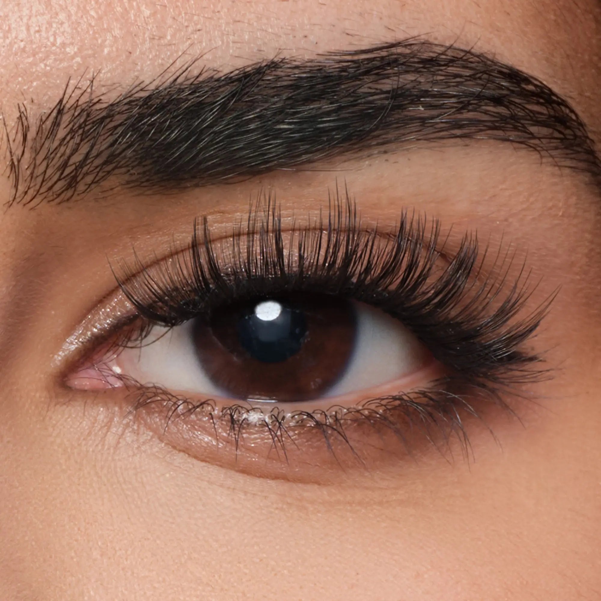 Tulip Style – Bold Wild Volume